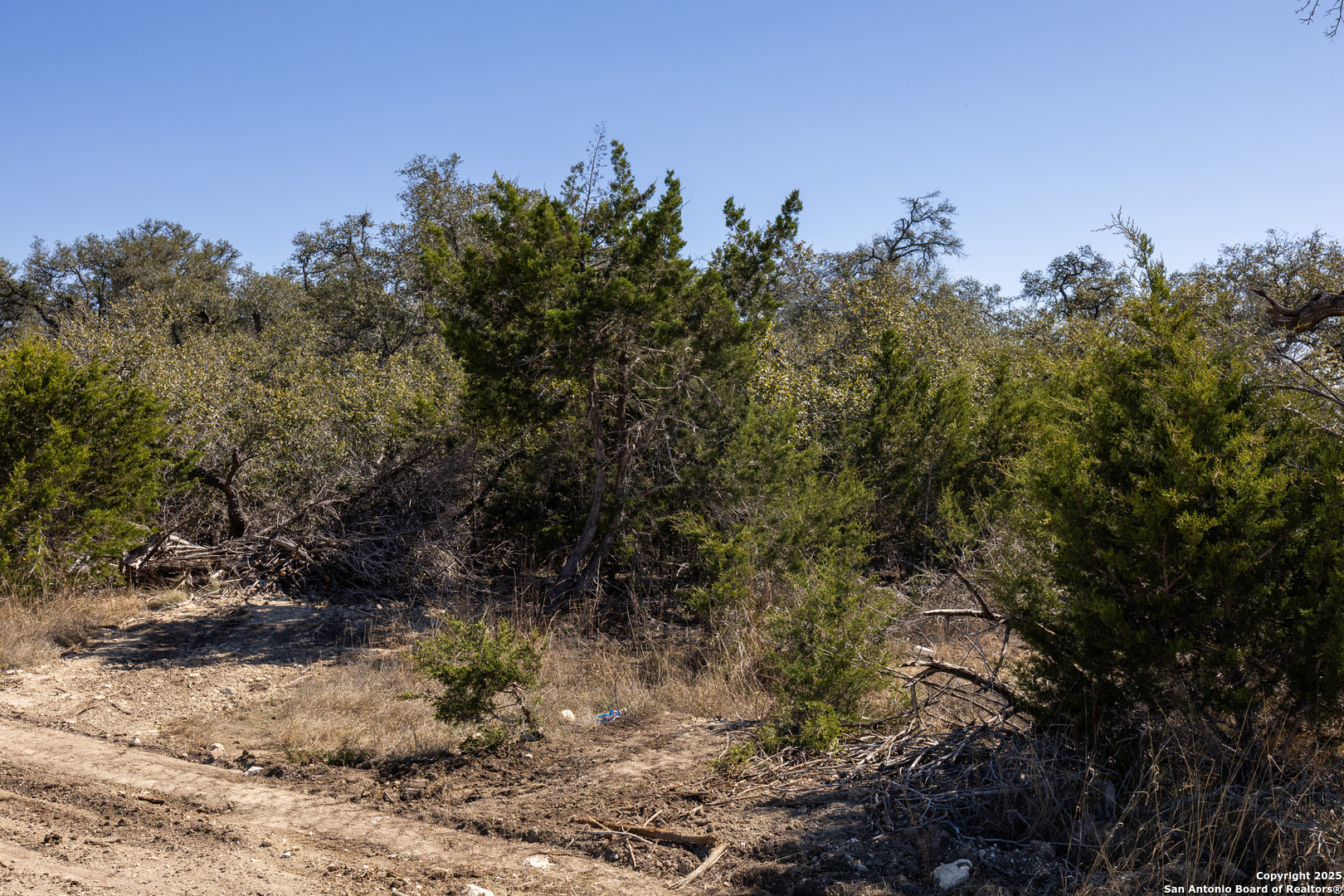 BLOCK 2, LOT 5 Fortunate Son