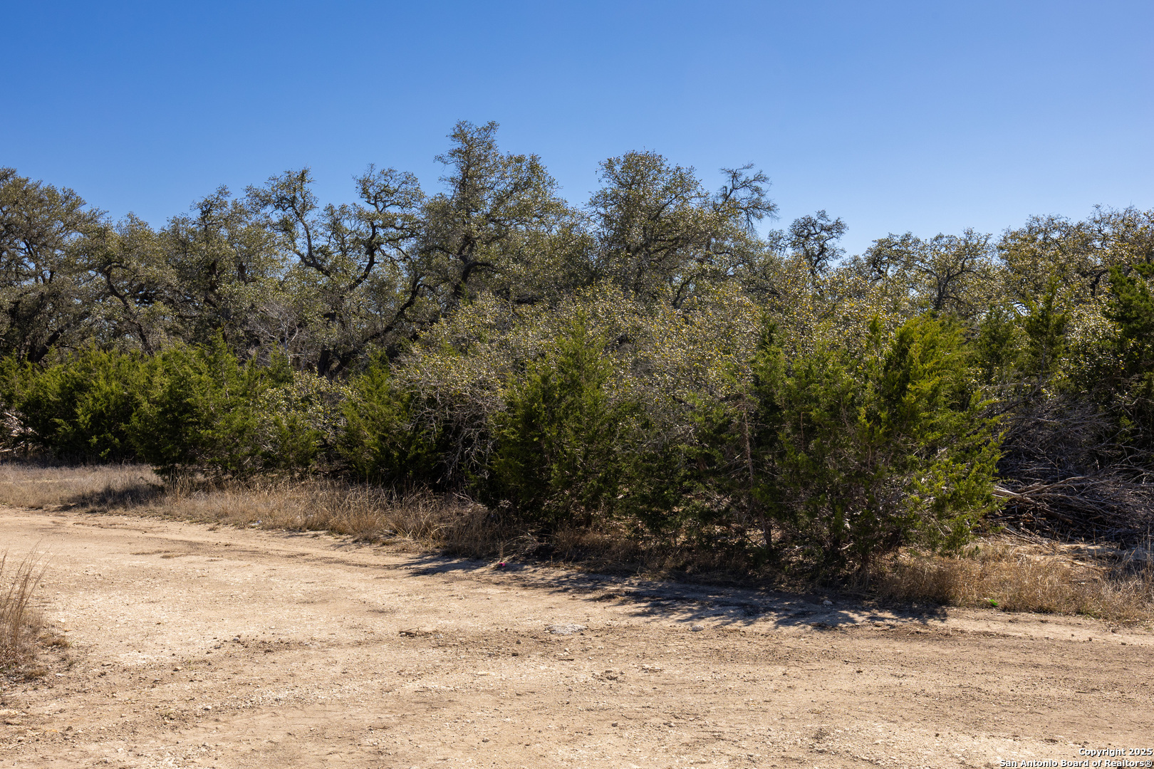 BLOCK 2, LOT 5 Fortunate Son