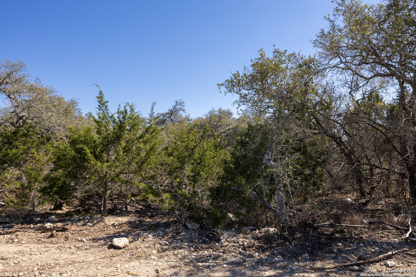 BLOCK 2, LOT 5 Fortunate Son