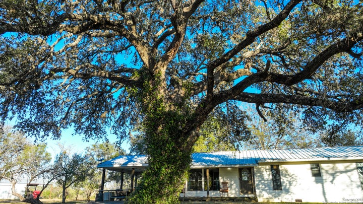 Photo 1 of 29 — 11190 Jarratt, Atascosa, TX 78002