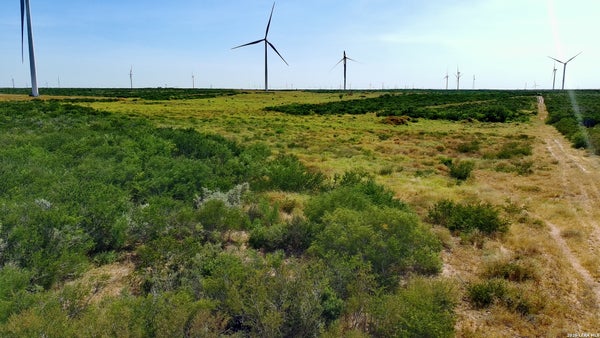 ADDRESS PRIVATE, BRUNI, TX 78344 - Image 33c8362c79f069eb7e2d64bd965350c1/4171606953