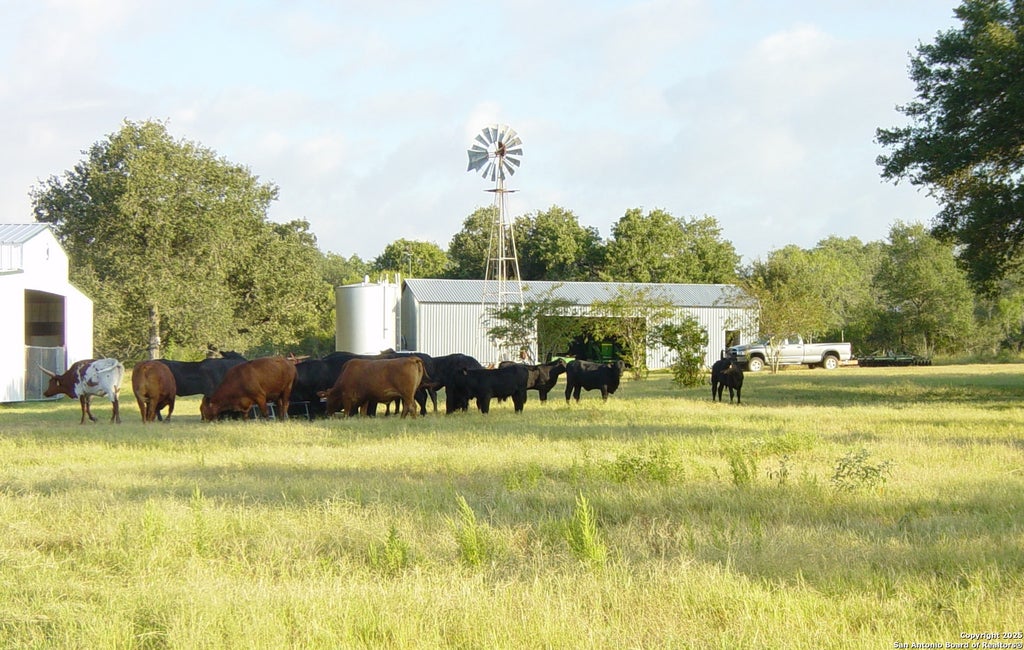 Photo of 1700 Bruce, Poteet, TX 78065 (MLS # 1906704)