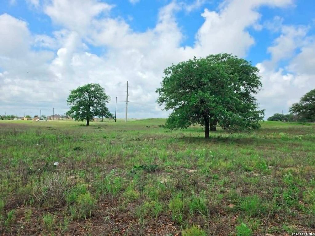 Photo of 1866 County Road 319, La Vernia, TX 78121 (MLS # 1960473)