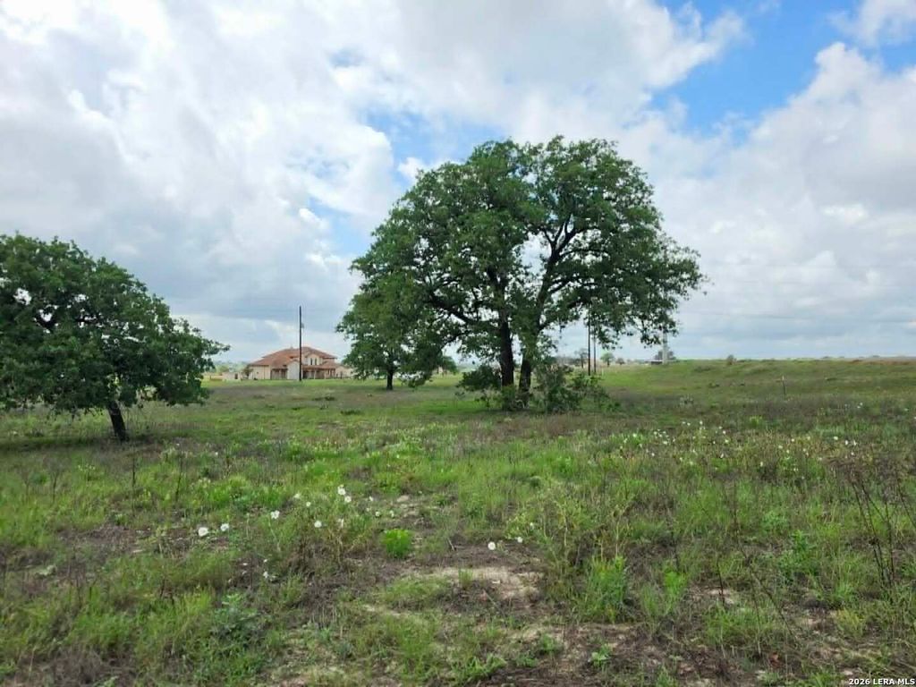 Photo of 1866 County Road 319, La Vernia, TX 78121 (MLS # 1960473)