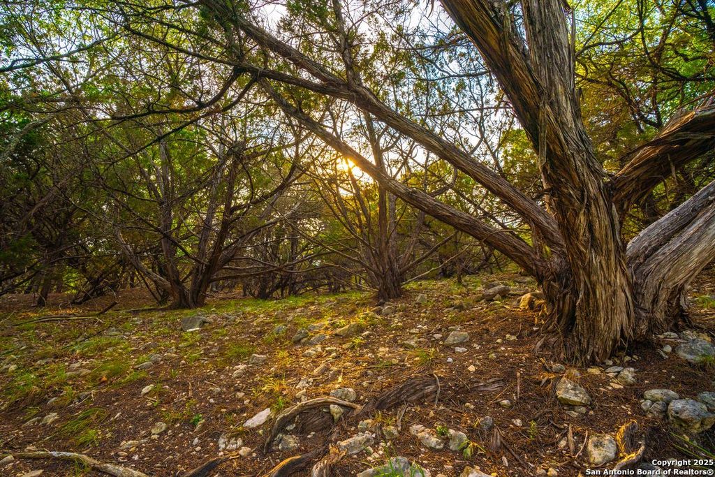 Photo of 103 Bella Springs Rd, Boerne, TX 78006 (MLS # 1873919)