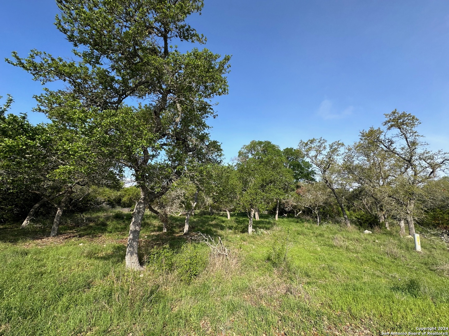 View Spring Branch, TX 78070 land