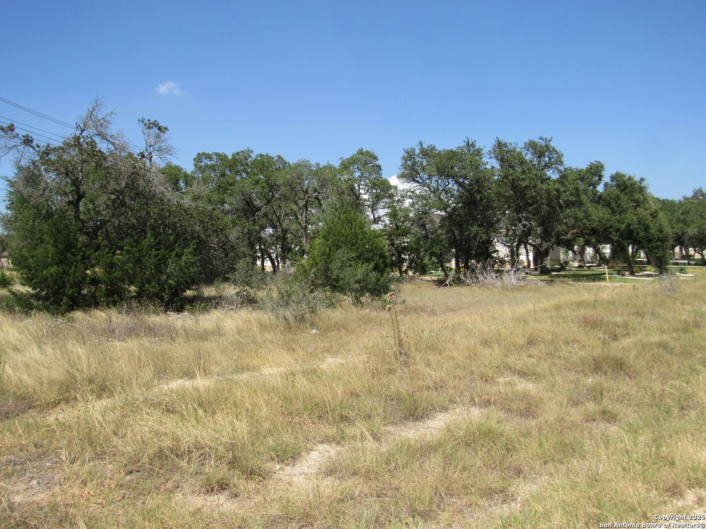 Photo of 780 Ansley Forest, Bulverde, TX 78163 (MLS # 1931429)