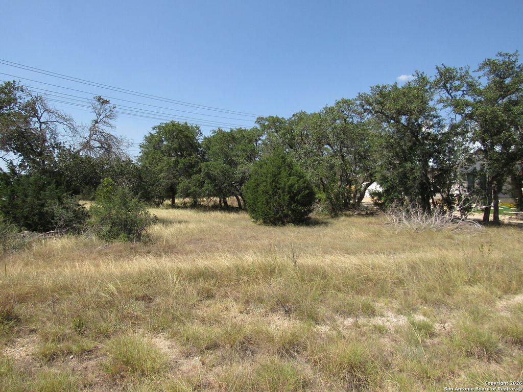 Photo of 780 Ansley Forest, Bulverde, TX 78163 (MLS # 1931429)