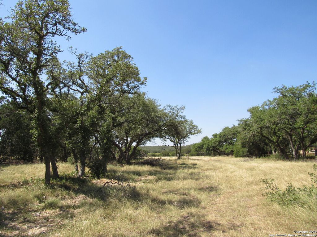 Photo of 780 Ansley Forest, Bulverde, TX 78163 (MLS # 1931429)