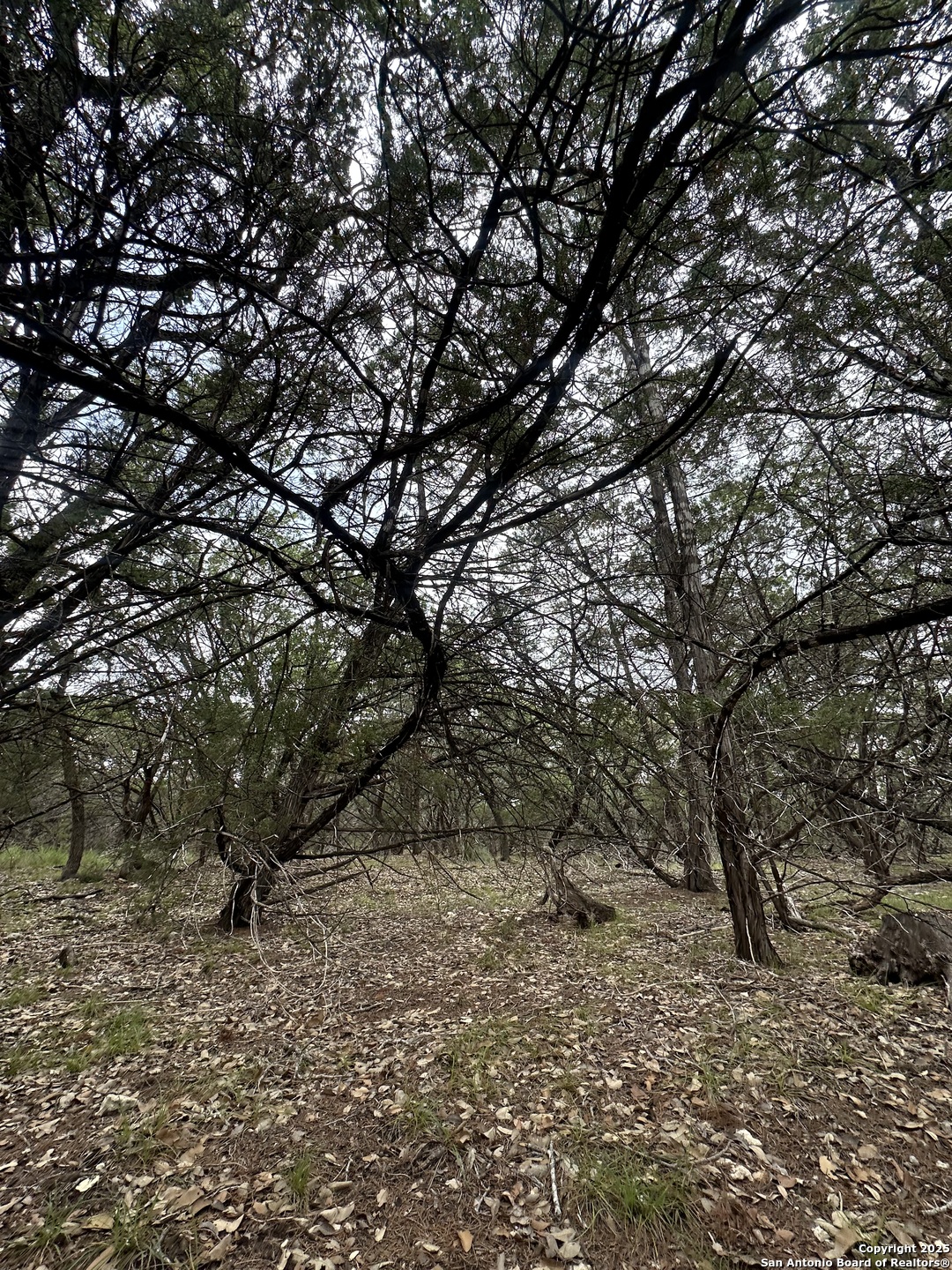 UNIT 12 Block 7 track 4,5,6