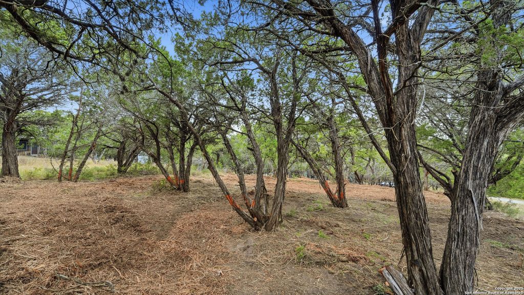 Photo of 799 Hillside, Canyon Lake, TX 78133 (MLS # 1925610)