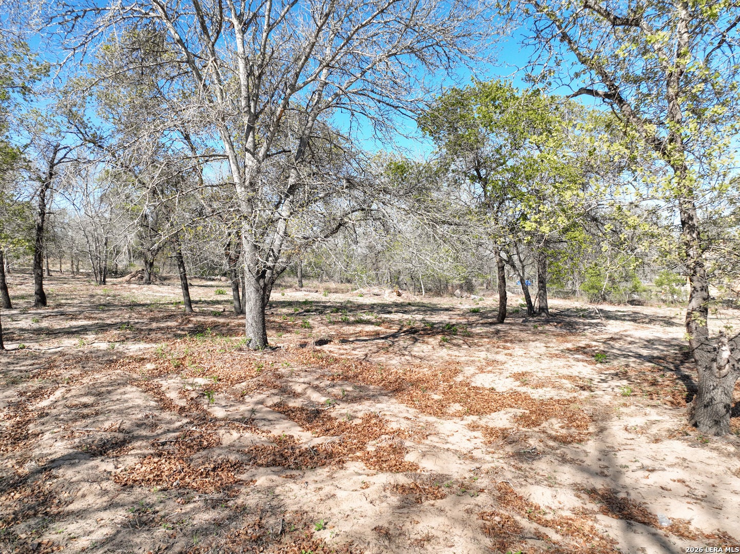 TBD County Road 6864