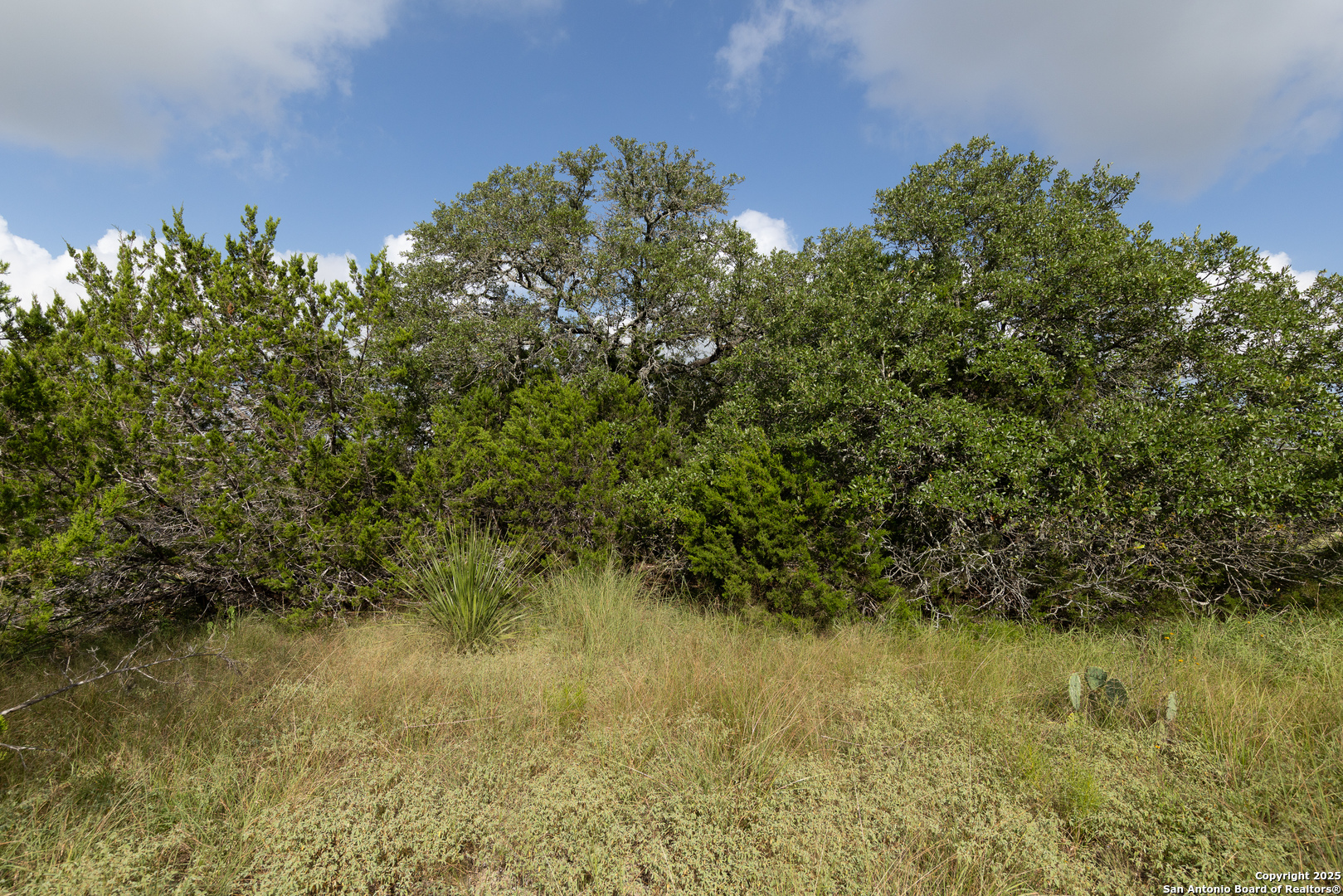 376 Charon Point