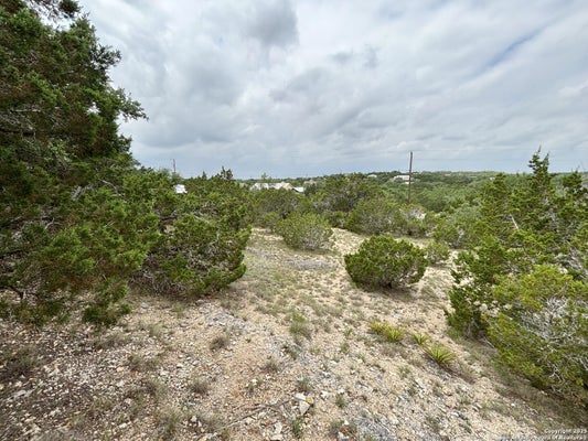 1040 PINON PASS, FISCHER, TX 78623 - Image 3679620ba2a2f83d2e56009dd2cf7f8a/3423744297