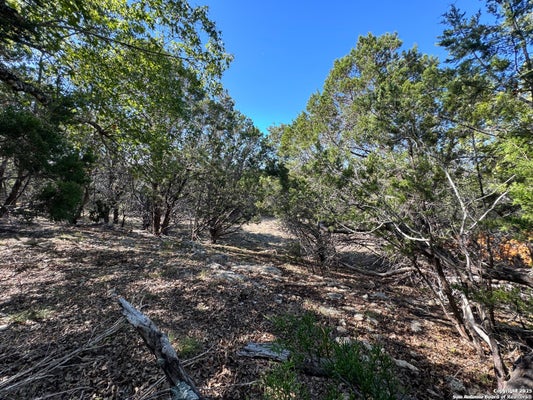 1040 PINON PASS, FISCHER, TX 78623 - Image 3679620ba2a2f83d2e56009dd2cf7f8a/496736511