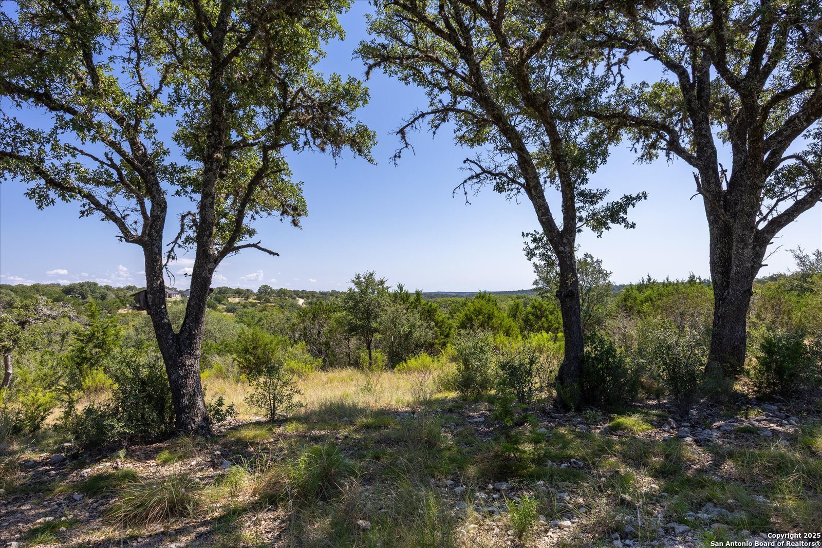 LOT 98 Sabinas Ridge