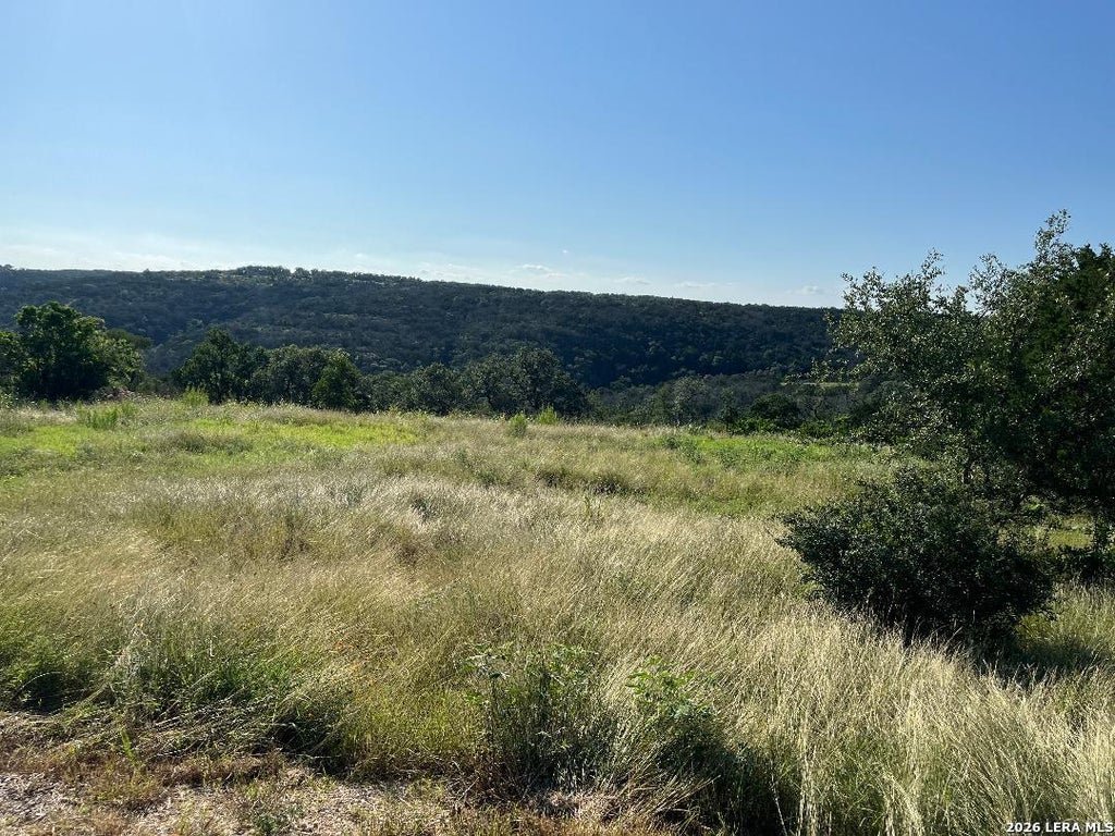 Photo of 904 INDIAN RIDGE, New Braunfels, TX 78132 (MLS # 1971150)
