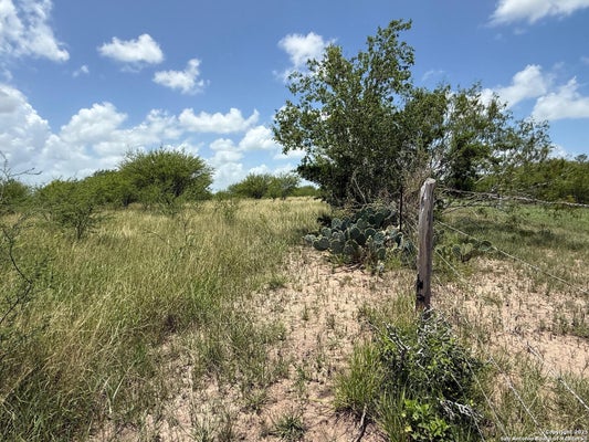 100 COUNTY RD 158, KENEDY, TX 78119 - Image 36c6cd577d19d5aaaa6ca6a6f8cfb007/880279567