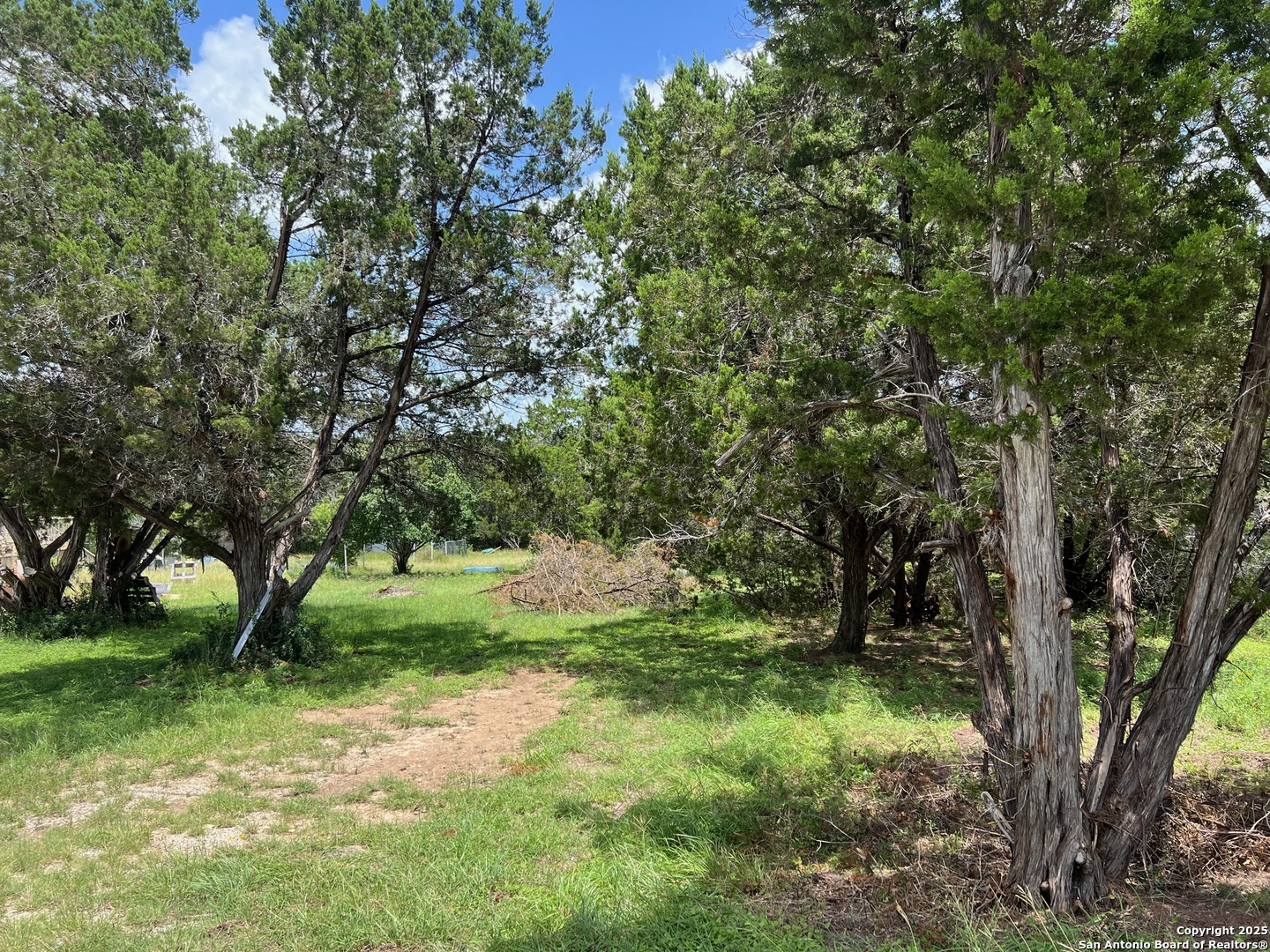 Canyon Lake, Texas 78133, United States, ,Land,Active,155631