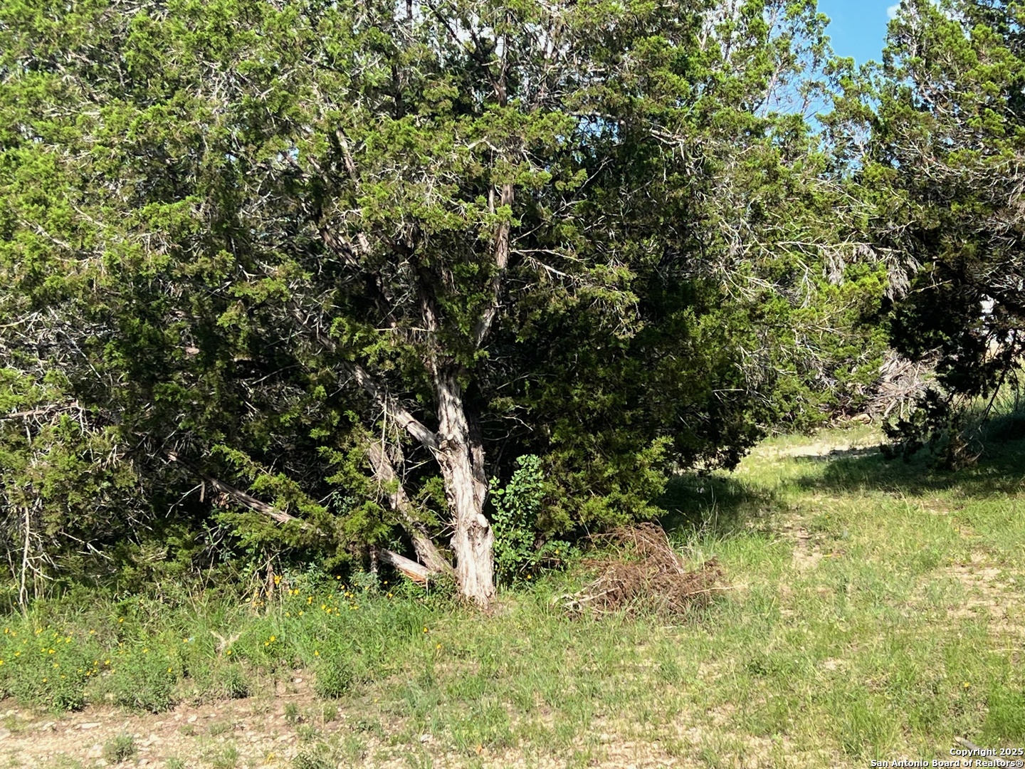 Canyon Lake, Texas 78133, United States, ,Land,Active,155631