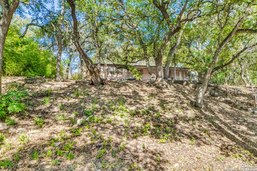 Photo of 25203 IMA RUTH PKWY, San Antonio, TX 78257 (MLS # 1930192)