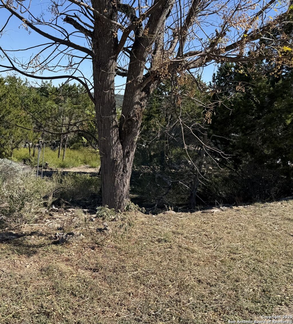 Photo of 651 Scott Way, Canyon Lake, TX 78133 (MLS # 1925375)
