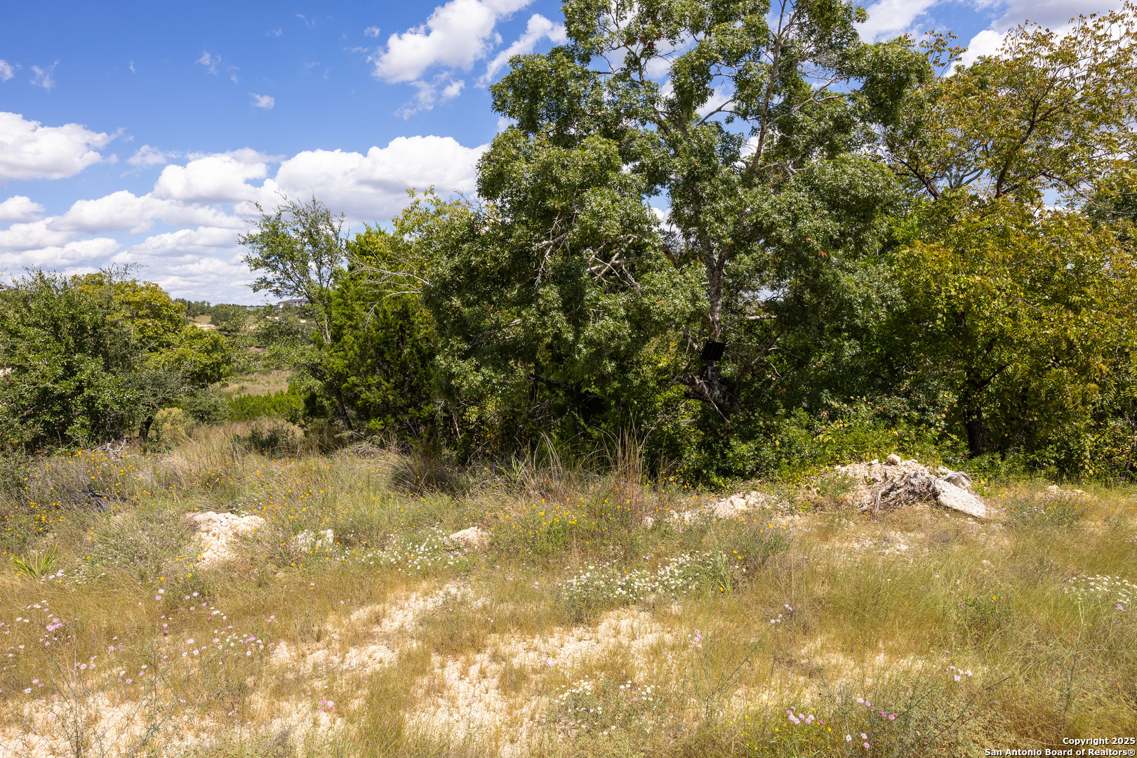 11317 Sloanes Ridge