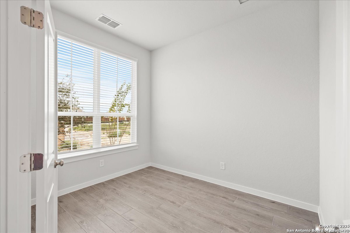 210 Scarlet Oak