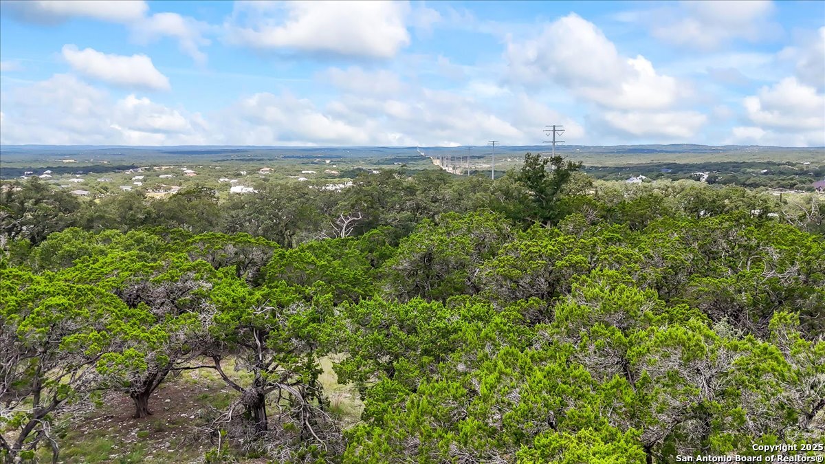 697 Travis Forest