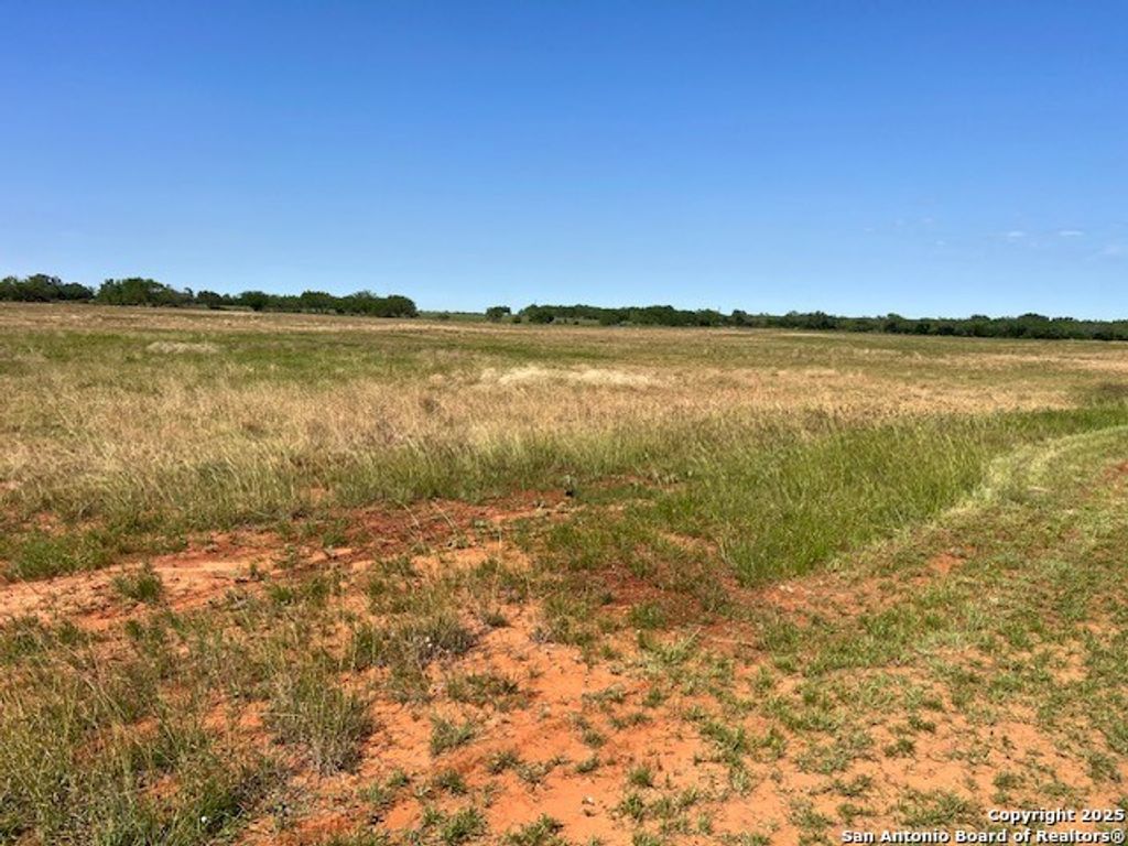 Photo of 3242 county road 429, Pleasanton, TX 78064 (MLS # 1863814)