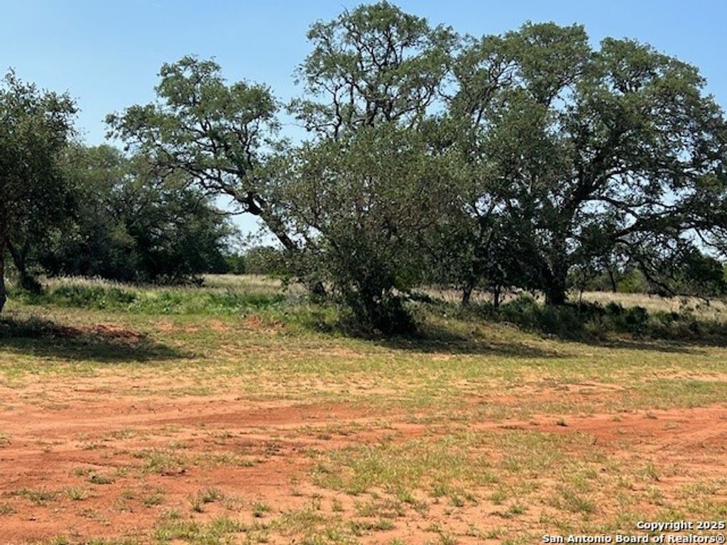 Photo of 3242 county road 429, Pleasanton, TX 78064 (MLS # 1863814)