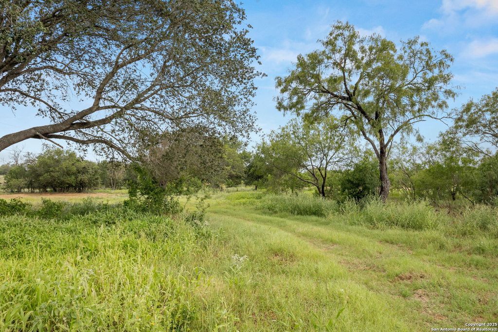 Photo of 3141 Zion Hill, Seguin, TX 78155 (MLS # 1881664)