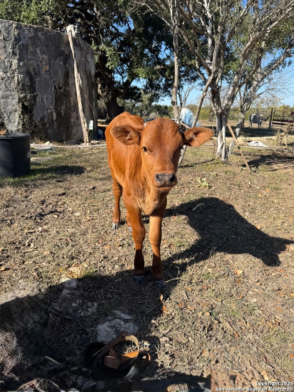 Photo of 718 Windmill Ridge, Blanco, TX 78606 (MLS # 1929939)