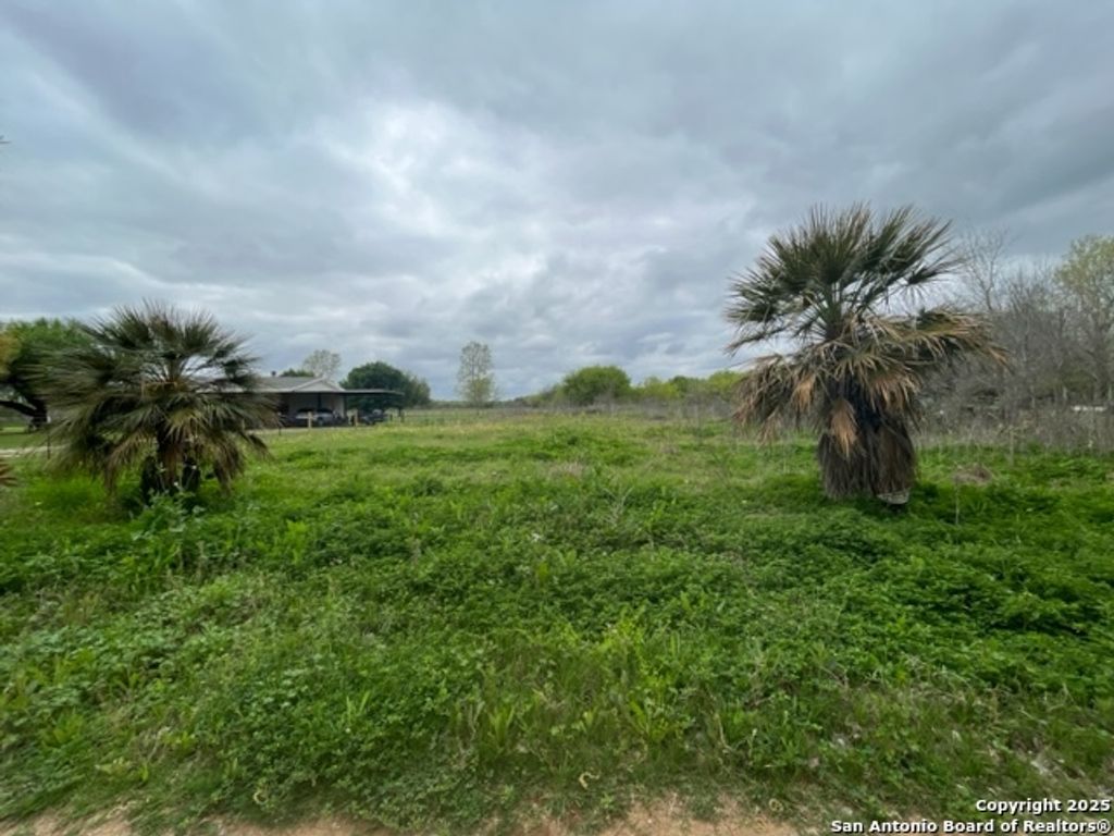 Photo of TBD Pr 6736, Devine, TX 78016 (MLS # 1920757)