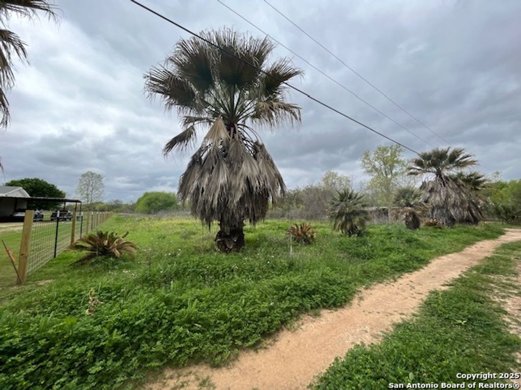 Photo of TBD Pr 6736, Devine, TX 78016 (MLS # 1920757)