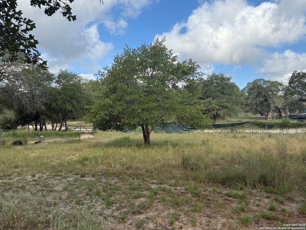 Photo of 105 Clear Spring, Floresville, TX 78114 (MLS # 1893642)
