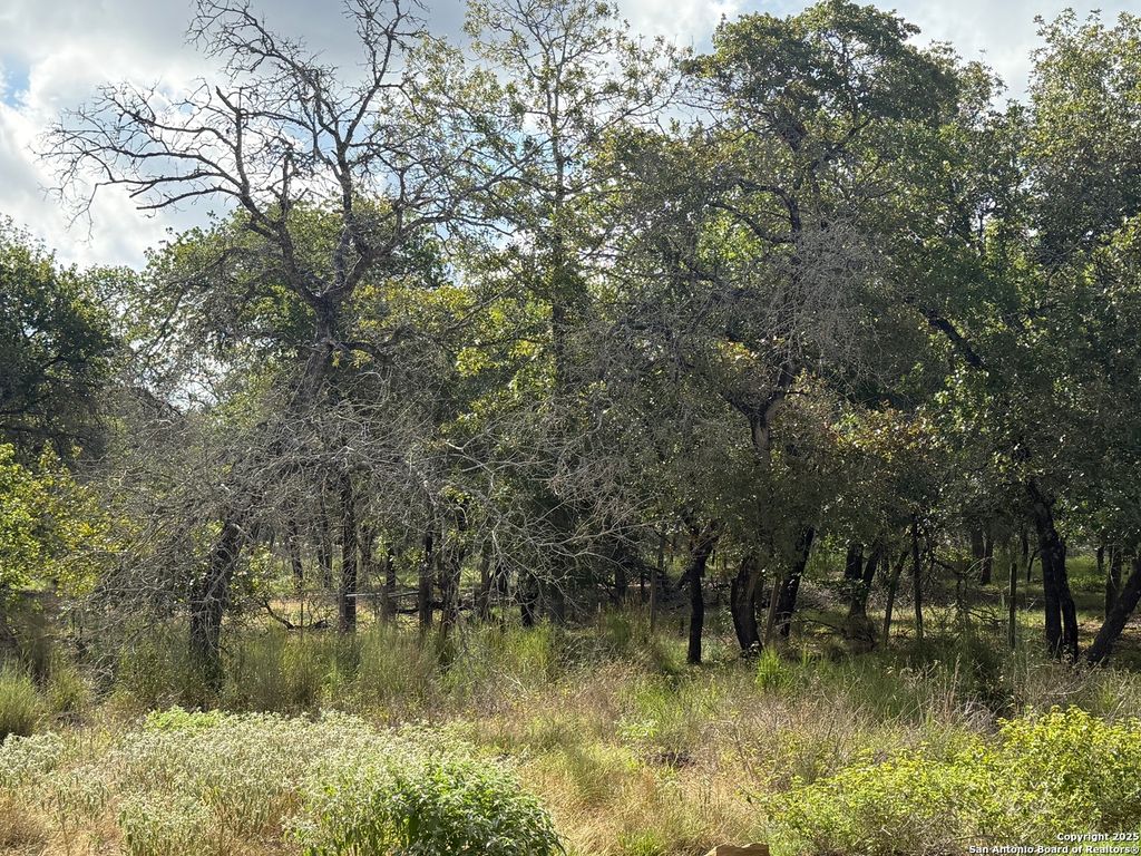 Photo of 105 Clear Spring, Floresville, TX 78114 (MLS # 1893642)