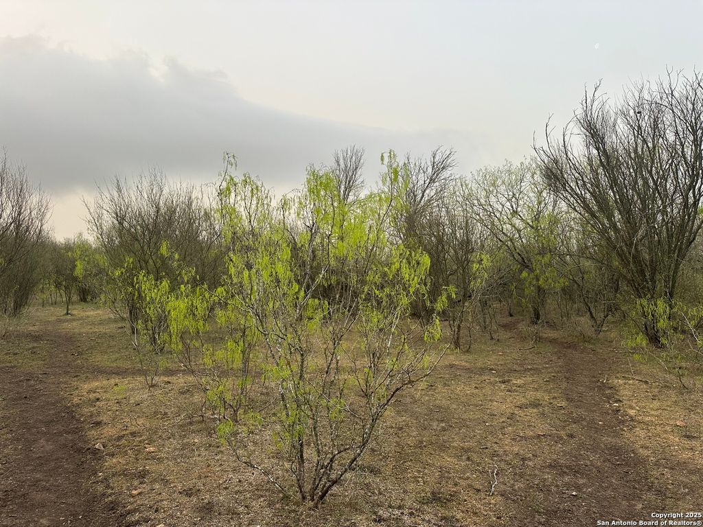 Photo of 982 Ilka Switch, Seguin, TX 78155 (MLS # 1928088)