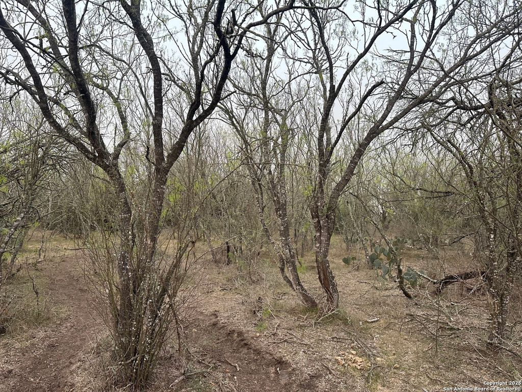 Photo of 982 Ilka Switch, Seguin, TX 78155 (MLS # 1928088)