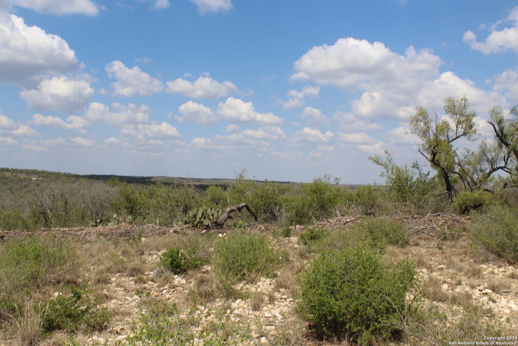 Photo of 5436 County Road 4514, Devine, TX 78016 (MLS # 1825842)
