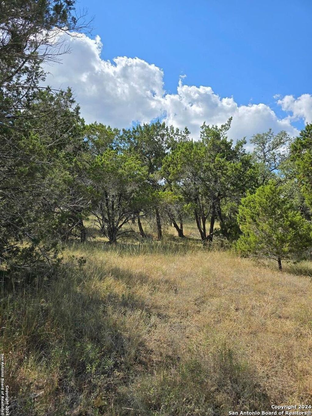 Photo of 2142 Alto Lago, Canyon Lake, TX 78133 (MLS # 1946937)