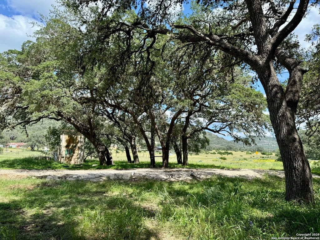 listing image 49