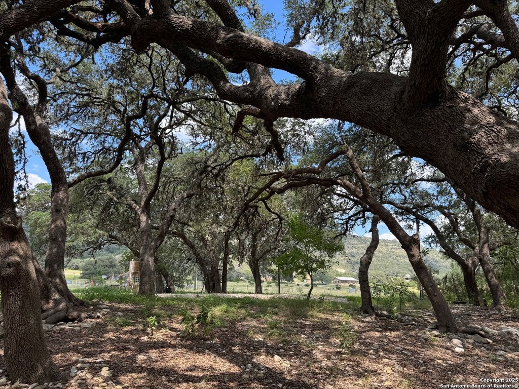 listing image 48