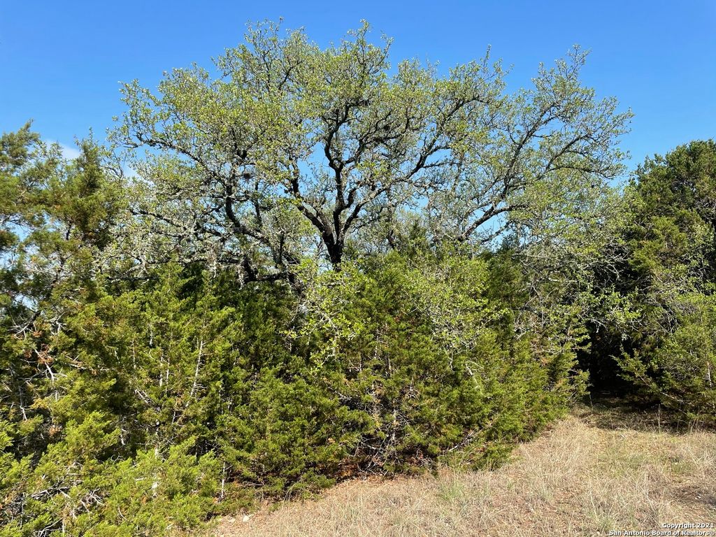 Photo of 1865 STALLION SPRINGS DR, Fischer, TX 78623 (MLS # 1959021)