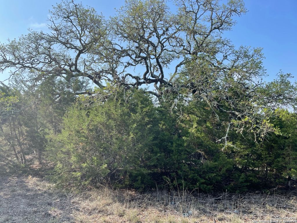 Photo of 1865 STALLION SPRINGS DR, Fischer, TX 78623 (MLS # 1959021)