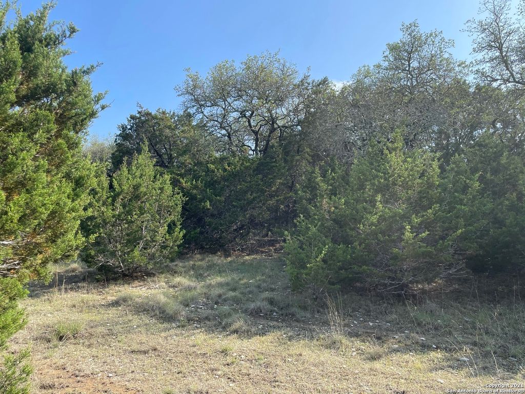 Photo of 1865 STALLION SPRINGS DR, Fischer, TX 78623 (MLS # 1959021)