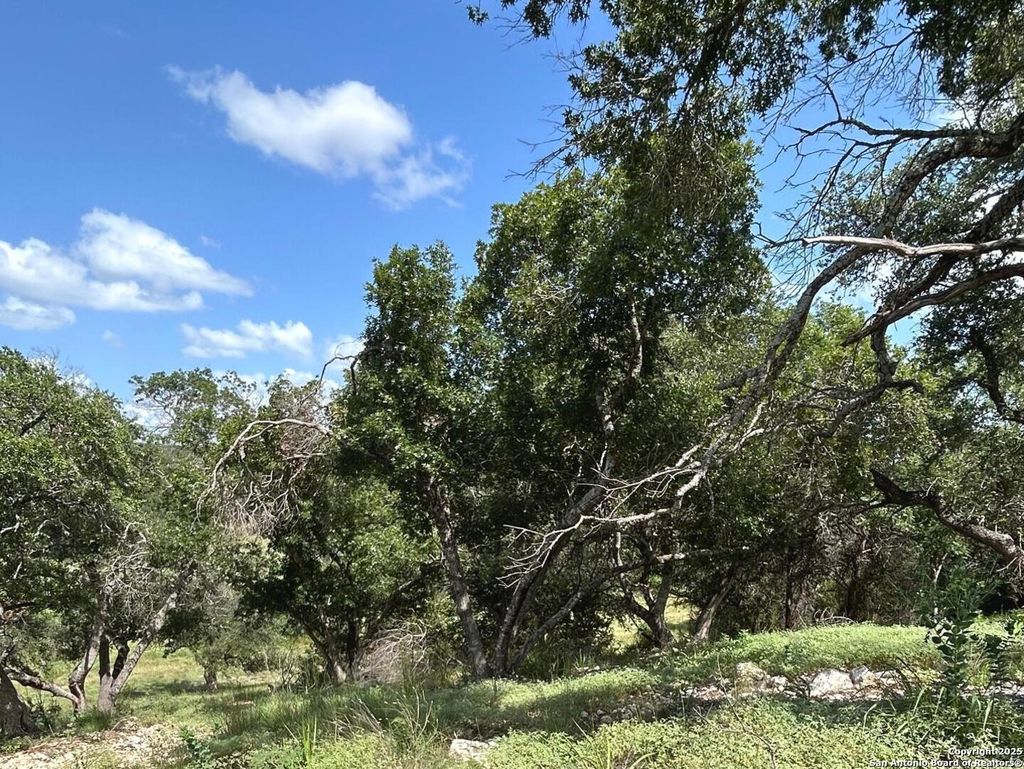 Photo of 856 Lime Rock, Canyon Lake, TX 78133 (MLS # 1885993)