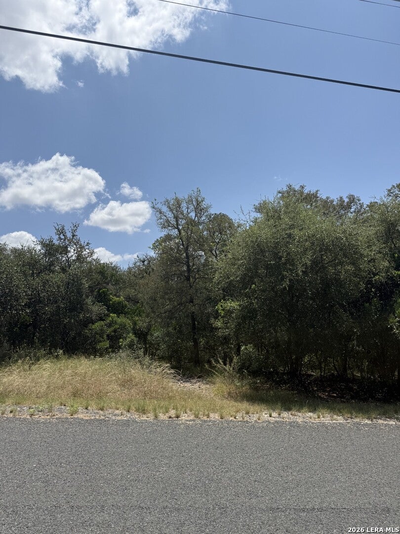 Photo of 13518 DEER MEADOW LN, San Antonio, TX 78253 (MLS # 2008125)