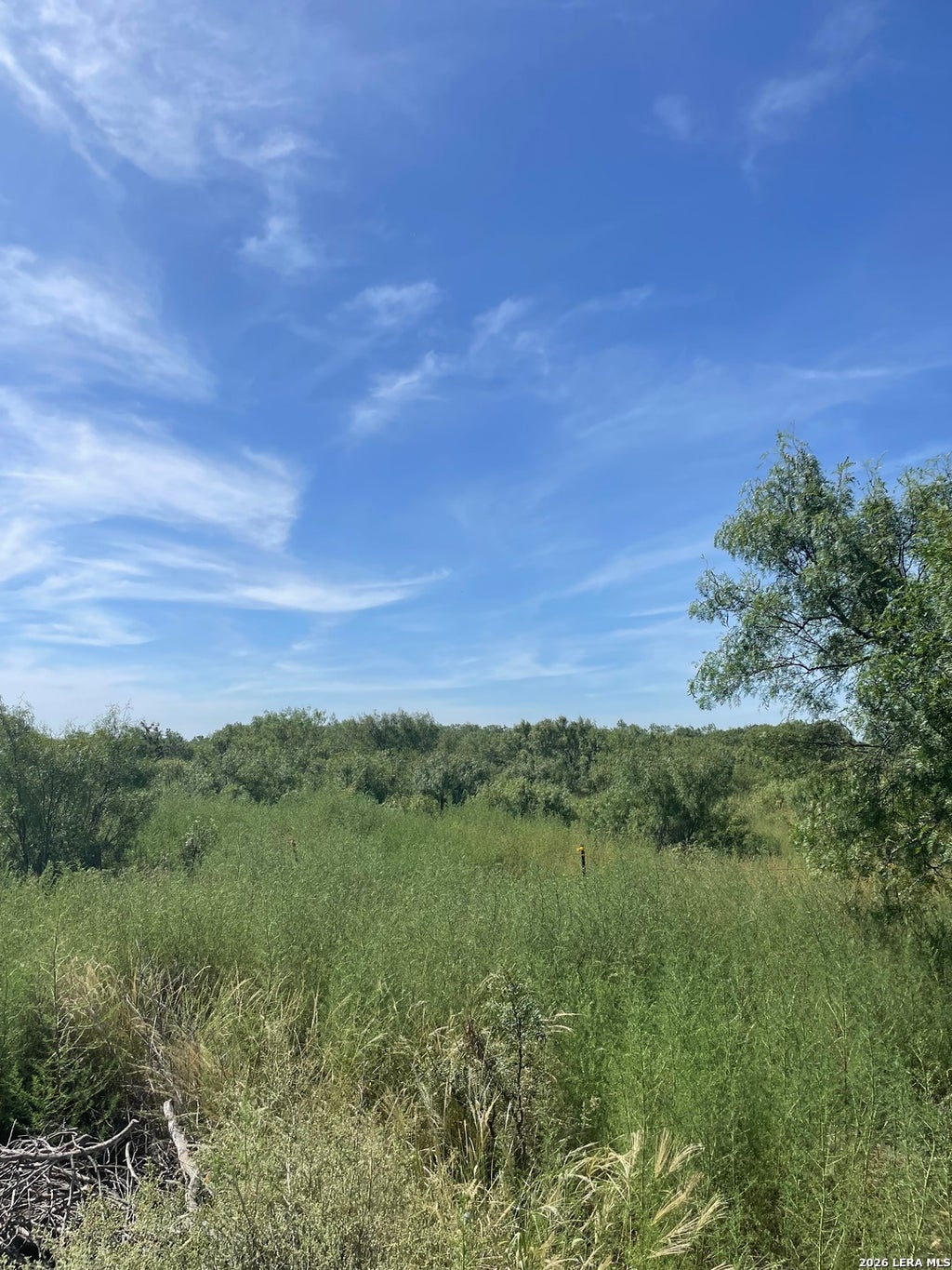 Photo of 14150 Meadowview Drive, Lytle, TX 78052 (MLS # 1953874)