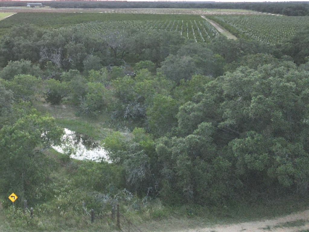 Photo of TBD Bruce Rd., Pleasanton, TX 78064 (MLS # 1832430)